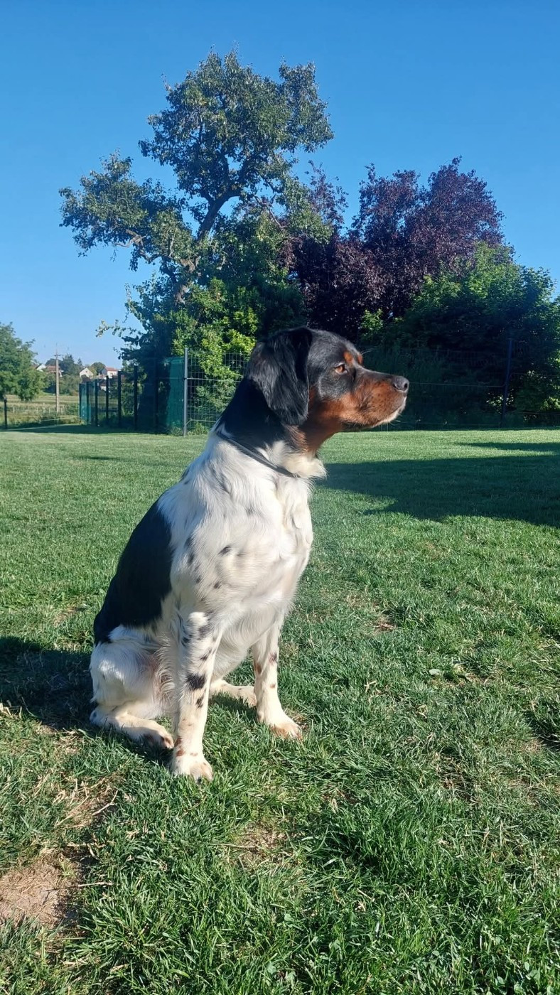 Scott De La Mordoree De Puisaye