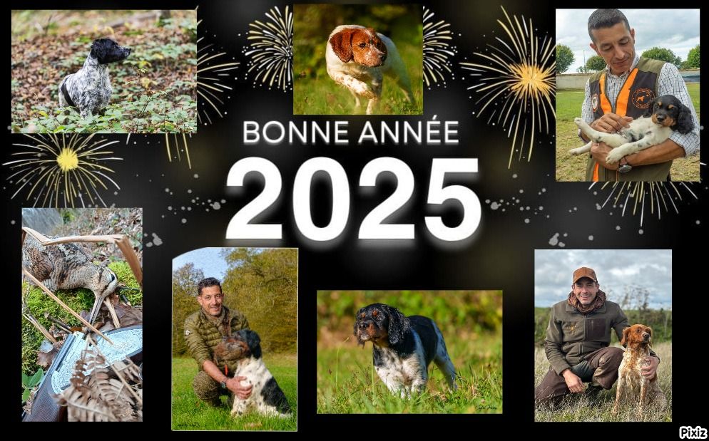 Bonne Année 2025