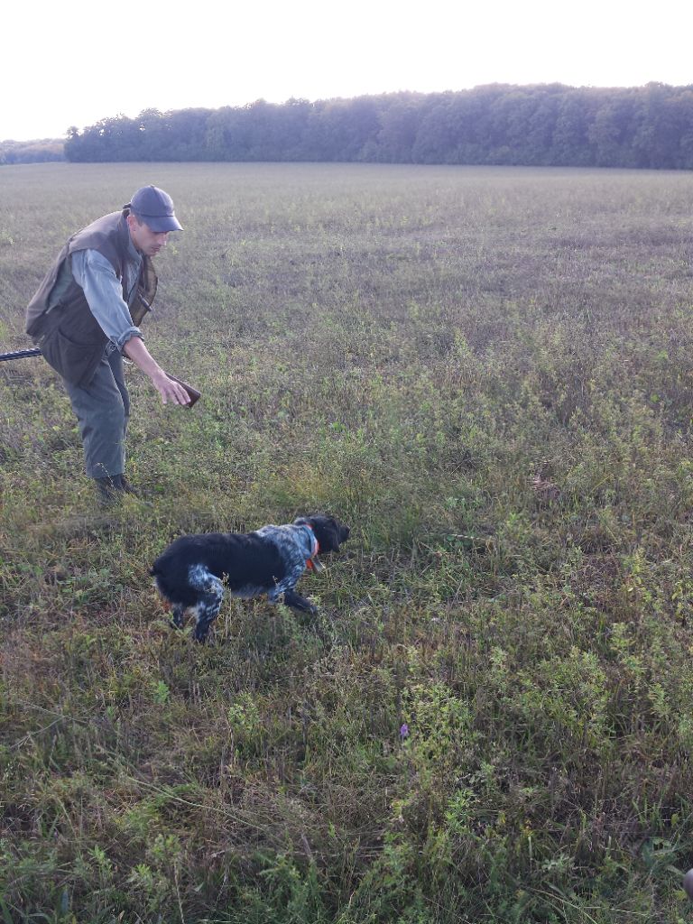 Les Bretons à la Chasse